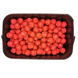 Premium Boilies Spicy Robin Red WCB 4kg