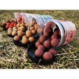 Rozpustné boilies Spicy Robin Red 240 ml